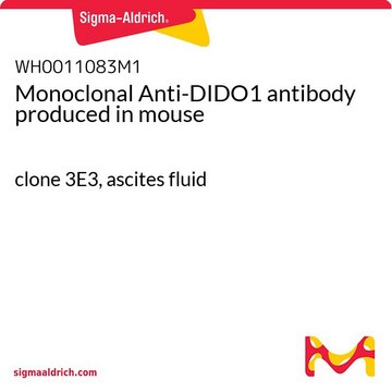 Monoclonal Anti-DIDO1 antibody produced in