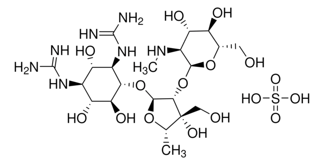 DIHYDROSTREPTOMYCIN SULFATE, UNITED STAT
