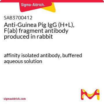 Anti-Guinea Pig IgG (H+L), F(ab)