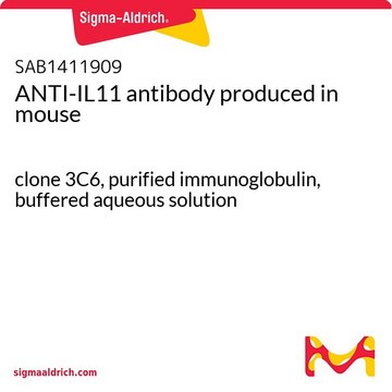 ANTI-IL11 antibody produced in mouse