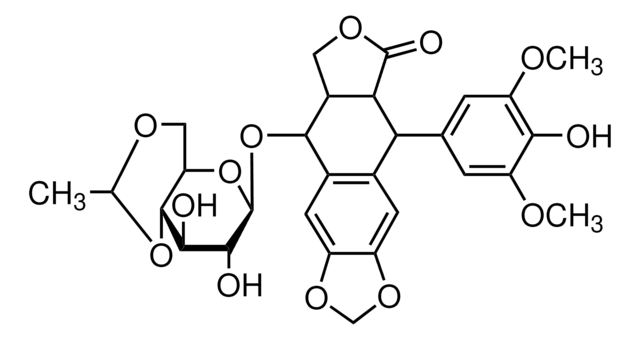 Etoposide for system suitability