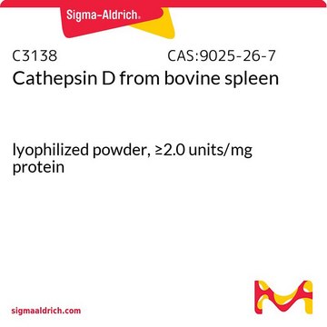Cathepsin D from bovine spleen