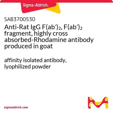 Anti-Rat IgG F(ab?)?, F(ab?)? fragment,