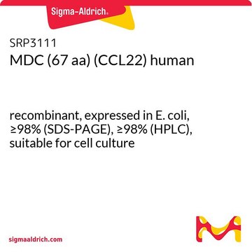 MDC (67 aa) (CCL22) human