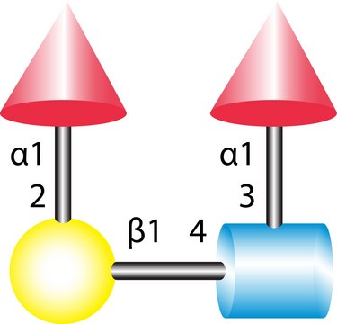 Lewis-Y tetrasaccharide