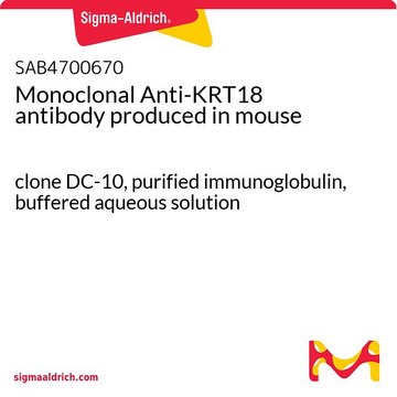 Monoclonal Anti-KRT18 antibody produced in