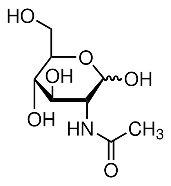 N-Acetyl-?-glucosamine–Agarose