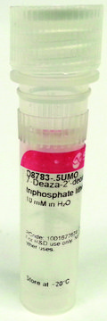 7-Deaza-2?-deoxyguanosine 5?-triphosphate lithium salt