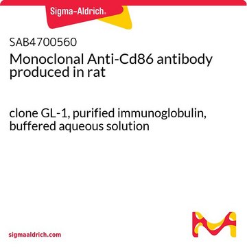 Monoclonal Anti-Cd86 antibody produced in