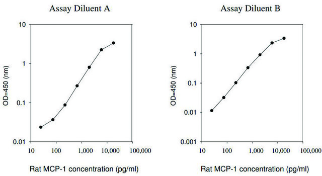 Rat MCP-1 / CCL2 ELISA