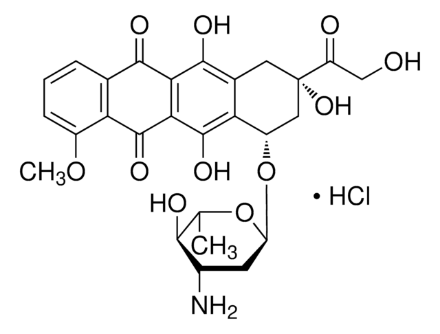 EPIRUBICIN HYDROCHLORIDE, UNITED STATES