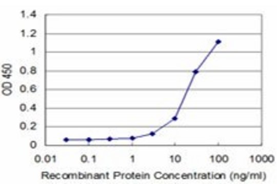ANTI-DLX5 antibody produced in mouse