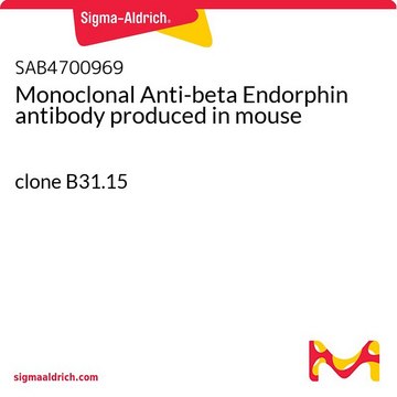 Monoclonal Anti-beta Endorphin antibody produced