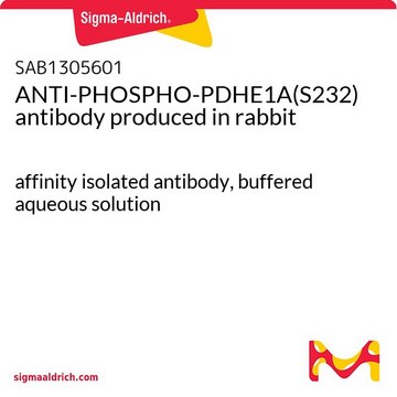 ANTI-PHOSPHO-PDHE1A(S232) antibody produced in rabbit