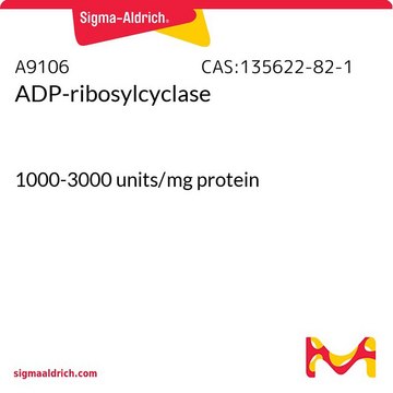 ADP-ribosylcyclase