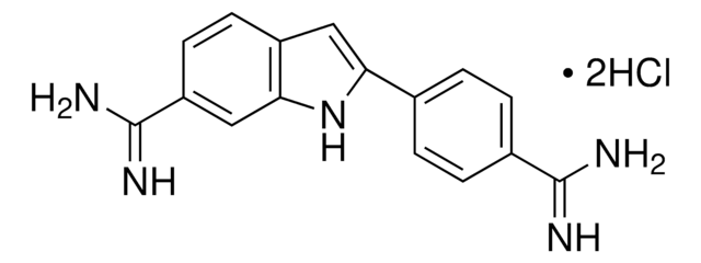 4',6-DIAMIDINO-2-PHENYLINDOLE DIHYDROCHL