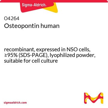 Osteopontin human