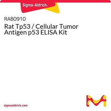 Rat Tp53 / Cellular Tumor
