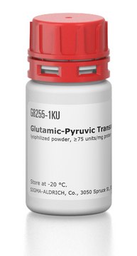Glutamic-Pyruvic Transaminase from porcine heart