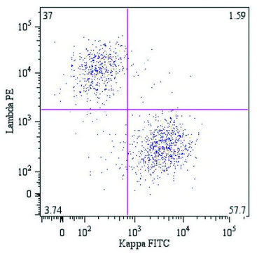Monoclonal Anti-Lambda light chains-PE antibody