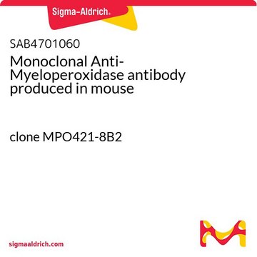 Monoclonal Anti-Myeloperoxidase antibody produced in