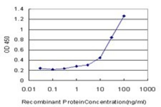 Monoclonal Anti-RHOH antibody produced in