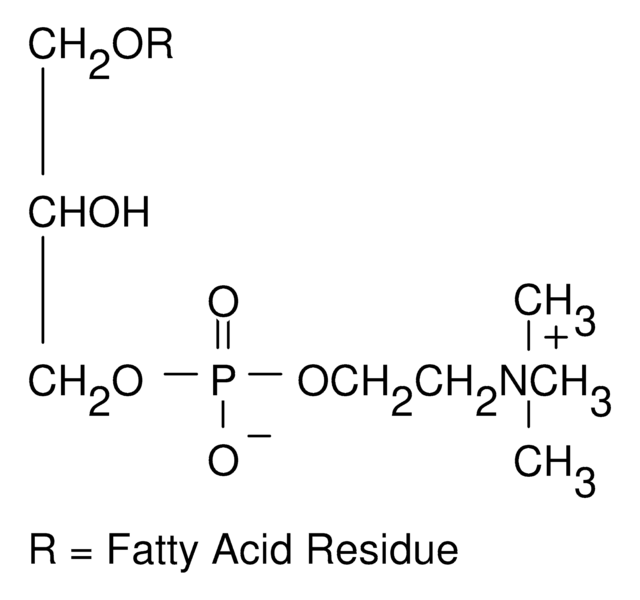 Lysophosphatidylcholine from egg yolk