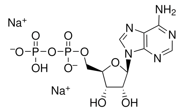 Adenosine 5?-diphosphate disodium salt