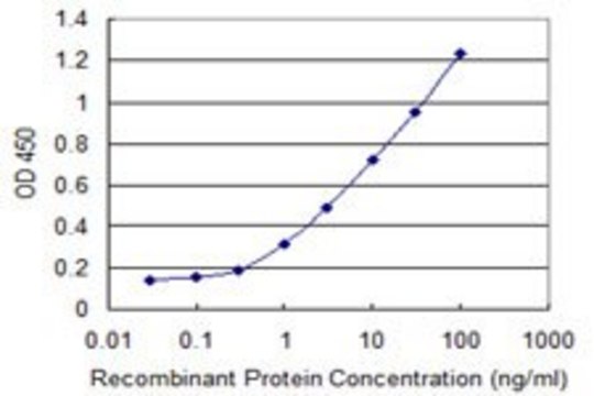 ANTI-SUPT16H antibody produced in mouse