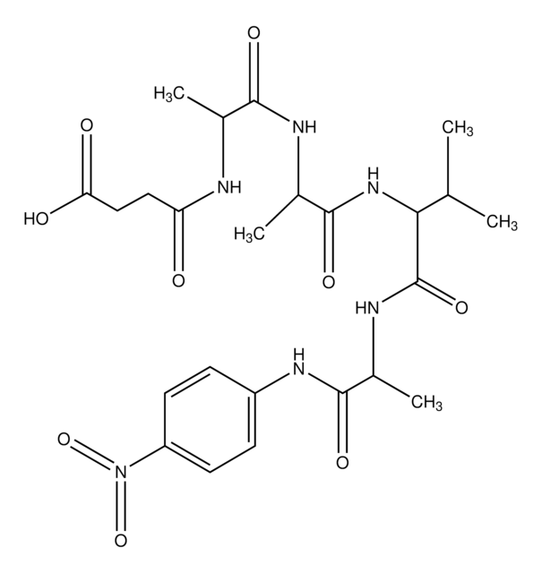 N-Succinyl-Ala-Ala-Val-Ala p-nitroanilide