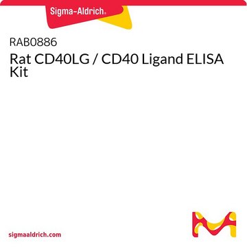 Rat CD40LG / CD40 Ligand