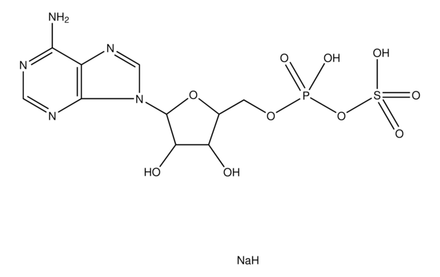 Adenosine 5?-phosphosulfate sodium salt