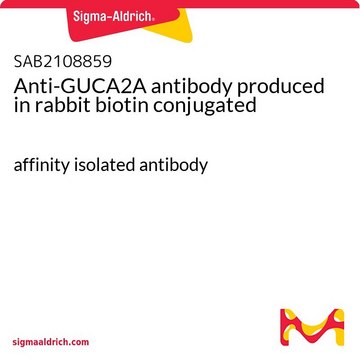 Anti-GUCA2A antibody produced in rabbit