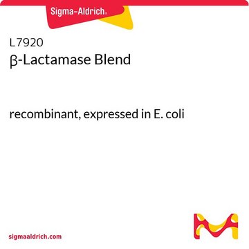 ?-Lactamase Blend