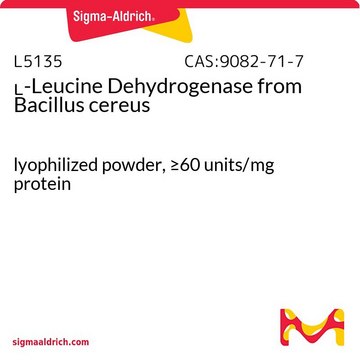 ?-Leucine Dehydrogenase from Bacillus cereus