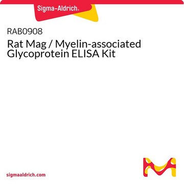 Rat Mag / Myelin-associated Glycoprotein