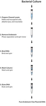 GenElute™ Endotoxin-free Plasmid Midiprep Kit