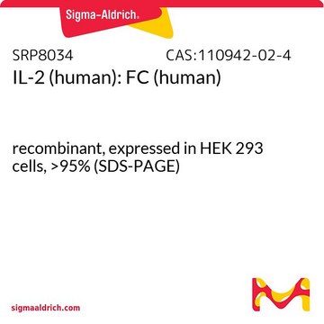 IL-2 (human): FC (human)