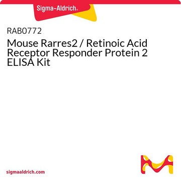 Mouse Rarres2 / Retinoic Acid