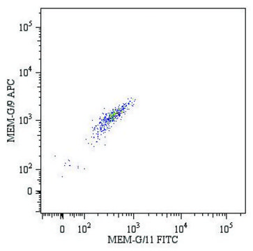 Monoclonal Anti-HLA-G-APC antibody produced in