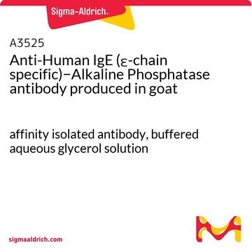 Anti-Human IgE (?-chain specific)?Alkaline Phosphatase
