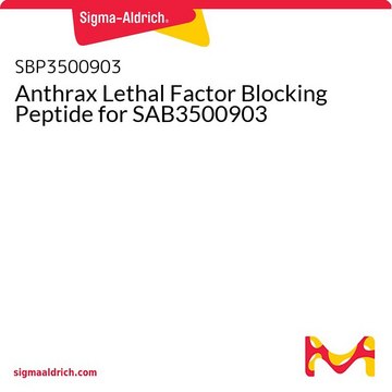 Anthrax Lethal Factor Blocking Peptide