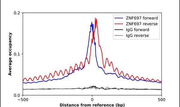 Anti-ZNF697 antibody produced in rabbit