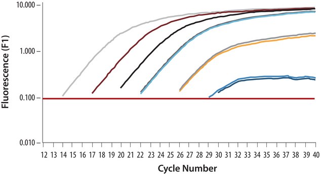 SYBR® Green Quantitative RT-qPCR Kit