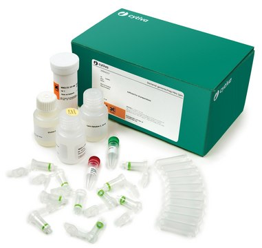 ILLUSTRA BACTERIA MINI (250)