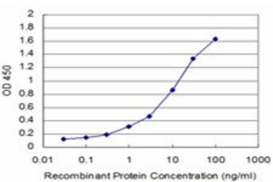 Monoclonal Anti-GTF2H1, (C-terminal) antibody produced
