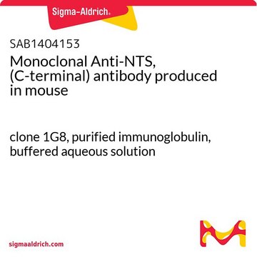 Monoclonal Anti-NTS, (C-terminal) antibody produced