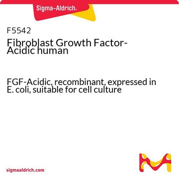 Fibroblast Growth Factor-Acidic human