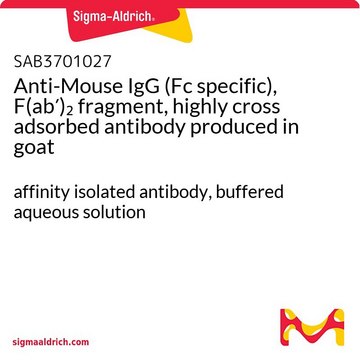 Anti-Mouse IgG (Fc specific), F(ab?)?