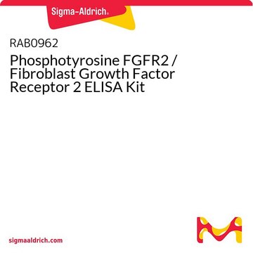 Phosphotyrosine FGFR2 / Fibroblast Growth